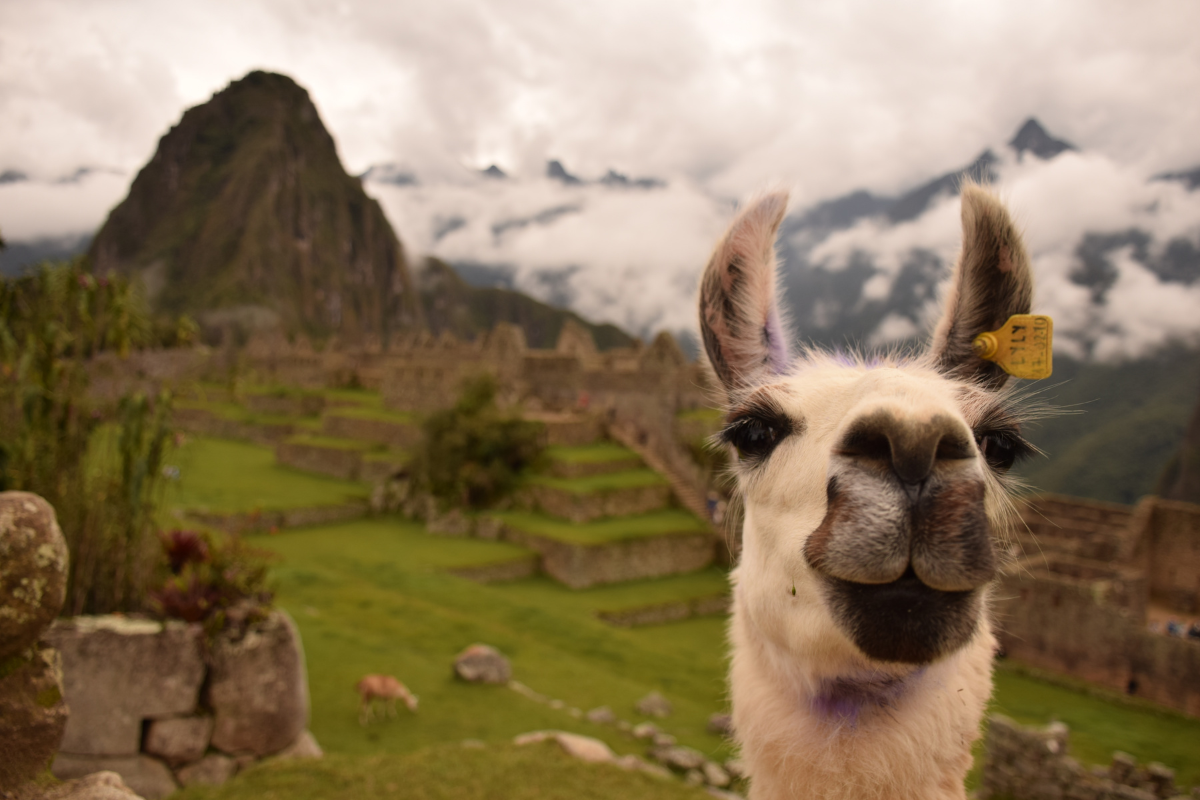 Cobertura Perú