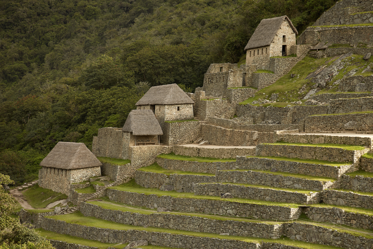 Cobertura Perú