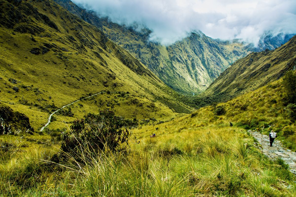 Cobertura Perú